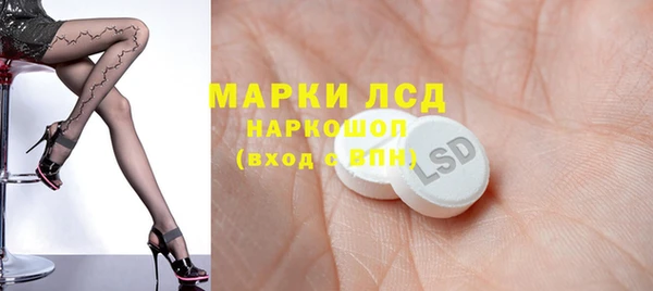 индика Козловка