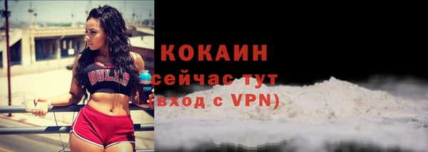 2c-b Каменка