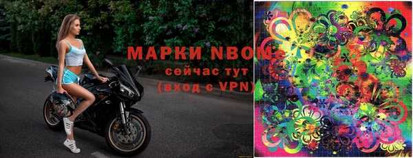 2c-b Каменка