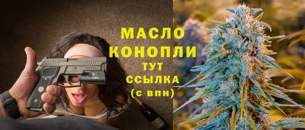 2c-b Каменка