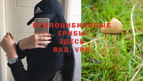 2c-b Каменка