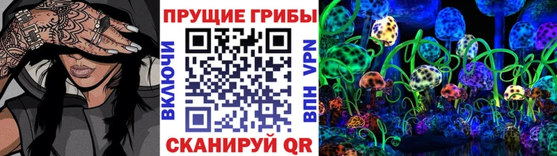 Псилоцибиновые грибы ЛСД Ладушкин