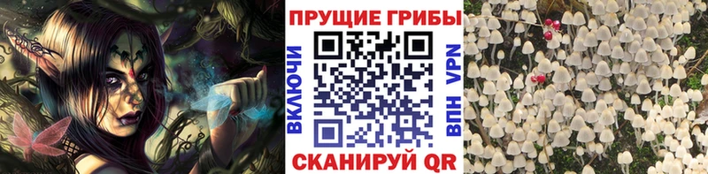 Галлюциногенные грибы ЛСД  Купить где  Ладушкин 